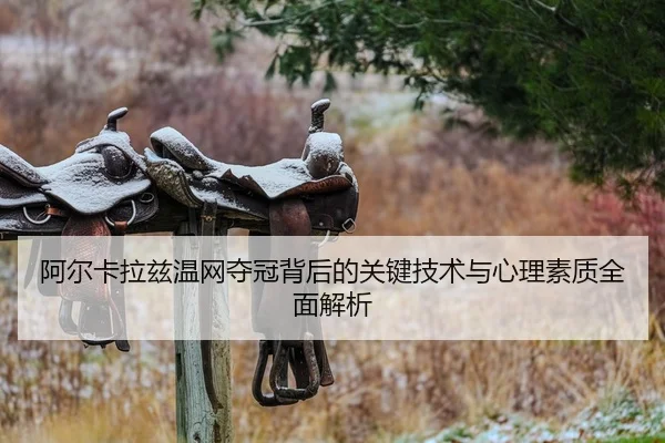 阿尔卡拉兹温网夺冠背后的关键技术与心理素质全面解析（NG28）